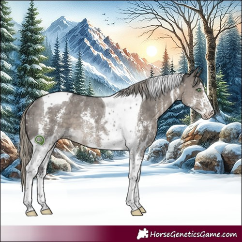 Horse Color:Silver Smoky Grullo Sabino Tobiano Rabicano