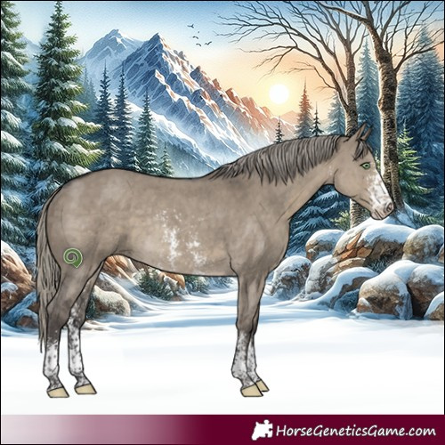 Horse Color:Silver Smoky Grullo Sabino Rabicano 