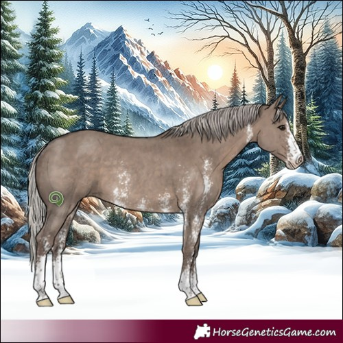 Horse Color:Silver Grullo Sabino Rabicano 