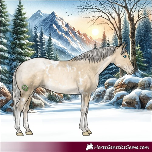 Horse Color:White Spotted Silver Buckskin Pearl Dun Tobiano 