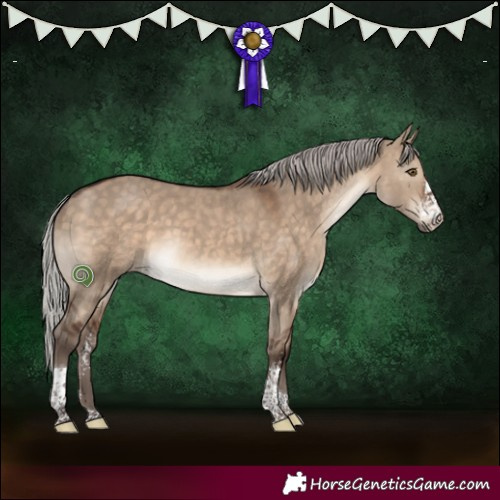 Horse Color:Silver Brown Dun Sabino Tobiano 