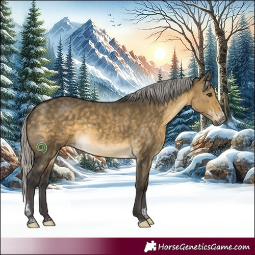 Horse Color:Silver Buckskin Dun Sabino Tobiano
