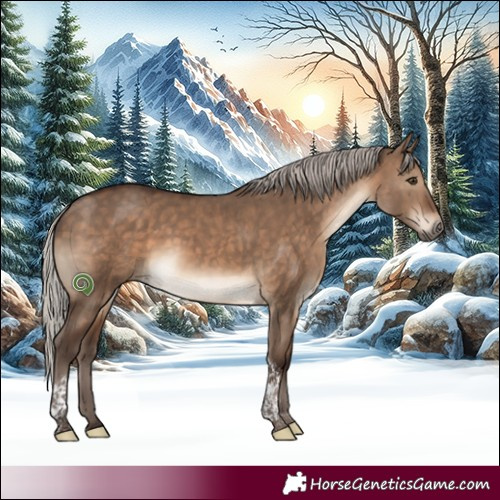Horse Color:Silver Brown Dun Tobiano 