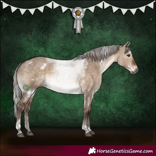 Horse Color:White Spotted Silver Brown Dun Tobiano 