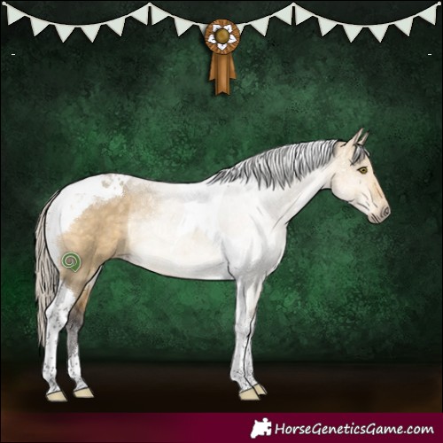 Horse Color:Silver Buckskin Dun Mushroom Tobiano Rabicano