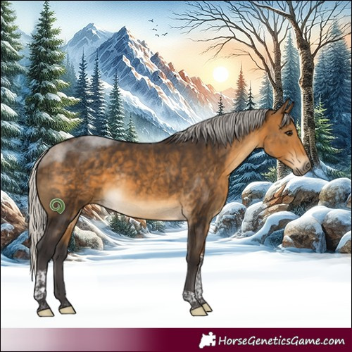 Horse Color:Silver Buckskin Tobiano Rabicano