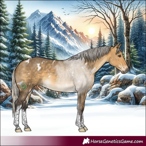 Horse Color:White Spotted Silver Buckskin Dun 