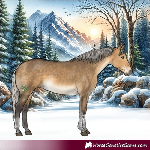 Horse Color:Silver Buckskin Dun Tobiano Rabicano 