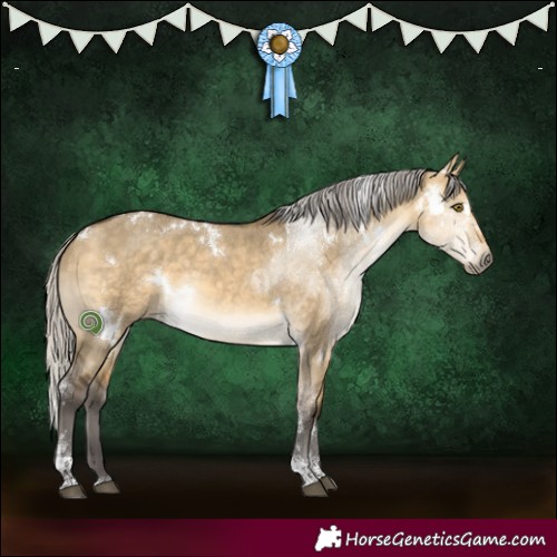 Horse Color:White Spotted Silver Buckskin Dun Mushroom Tobiano Rabicano