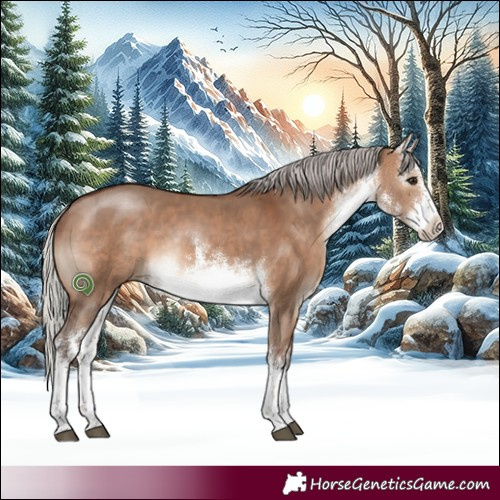 Horse Color:White Spotted Silver Brown Dun Rabicano 
