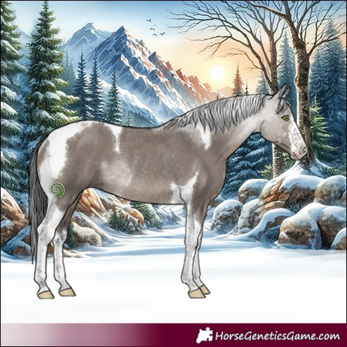 Horse Color:White Spotted Grullo Tobiano Rabicano