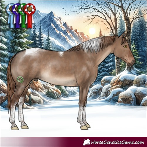 Horse Color:White Spotted Liver Red Dun Tobiano Rabicano 