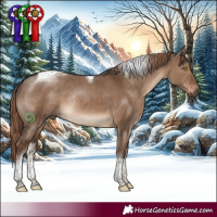 Horse Color:White Spotted Liver Red Dun Tobiano Rabicano