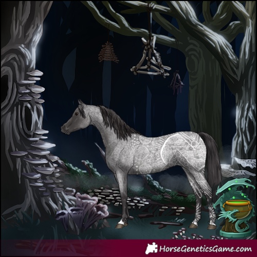 Horse Color:Smoky Blue Roan 