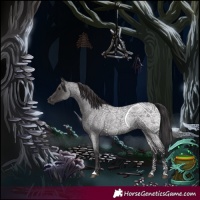 Horse Color:Smoky Blue Roan 