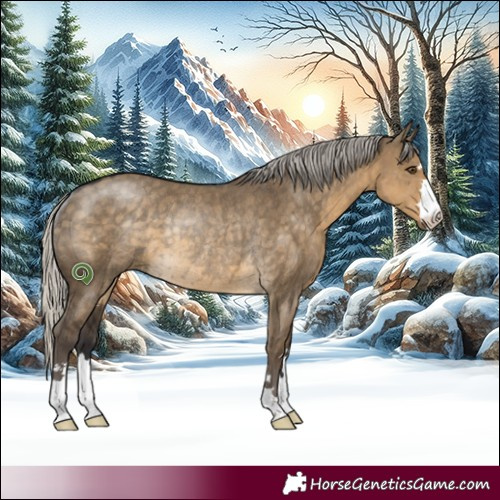 Horse Color:Silver Smoky Grullo Rabicano
