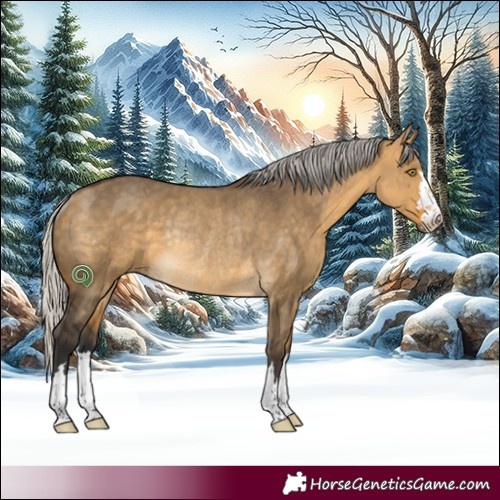 Horse Color:Silver Buckskin Dun Rabicano 