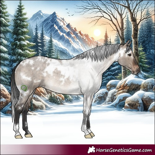 Horse Color:White Spotted Brown Roan Dun Rabicano