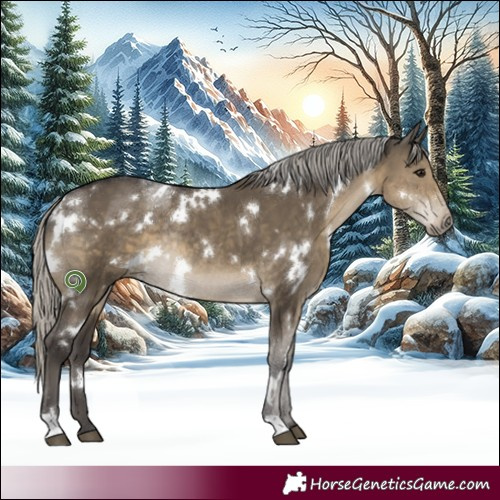 Horse Color:White Spotted Silver Smoky Grullo Rabicano