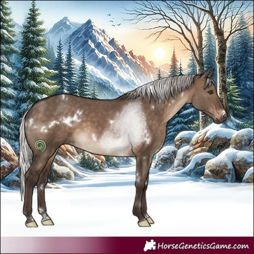 Horse Color:White Spotted Silver Brown Dun Rabicano 