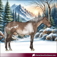 Horse Color:White Spotted Silver Brown Dun Rabicano 