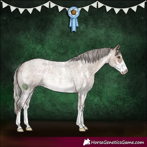 Horse Color:Silver Brown Roan Dun Sabino Rabicano