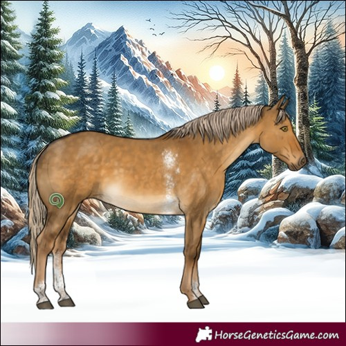 Horse Color:Chocolate Palomino Dun Sabino Rabicano