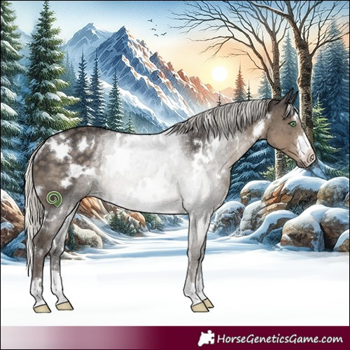 Horse Color:White Spotted Silver Smoky Black Rabicano 