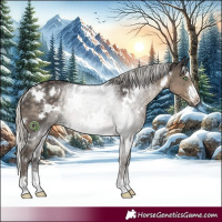 Horse Color:White Spotted Silver Smoky Black Rabicano