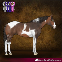 Horse Color:Bay Tobiano 