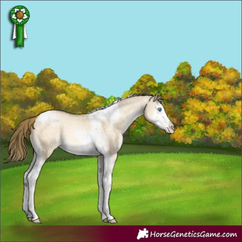Horse Color:Buckskin Pearl Dun Mushroom Splash Tobiano 