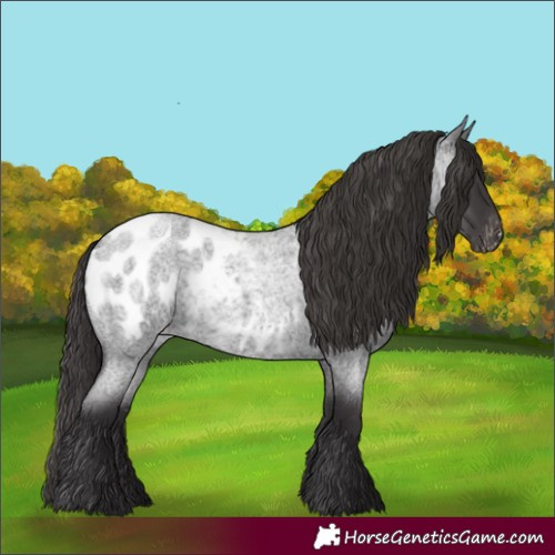 Horse Color:Smoky Blue Roan Blanket 