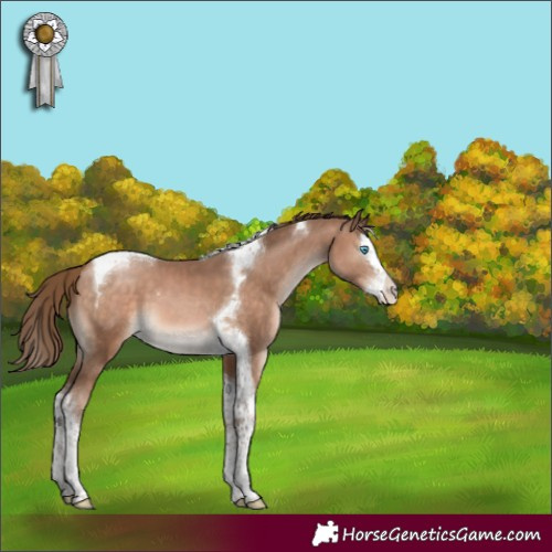 Horse Color:Brown Pearl Mushroom Splash Tobiano 