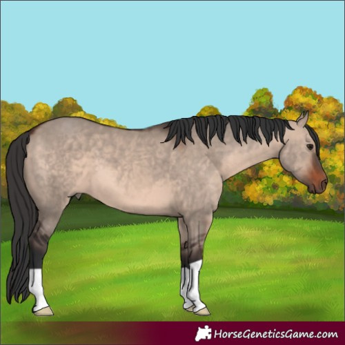 Horse Color:Brown Dun Mushroom 