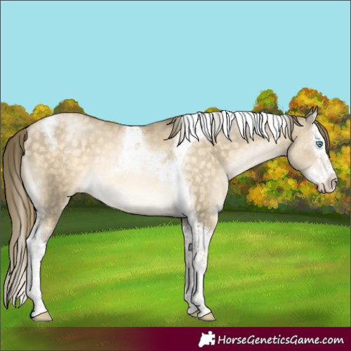 Horse Color:Buckskin Pearl Mushroom Splash Tobiano 