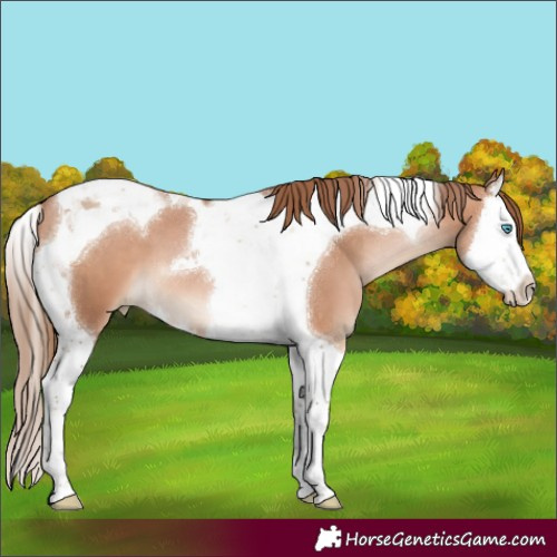 Horse Color:Brown Pearl Mushroom Splash Tobiano