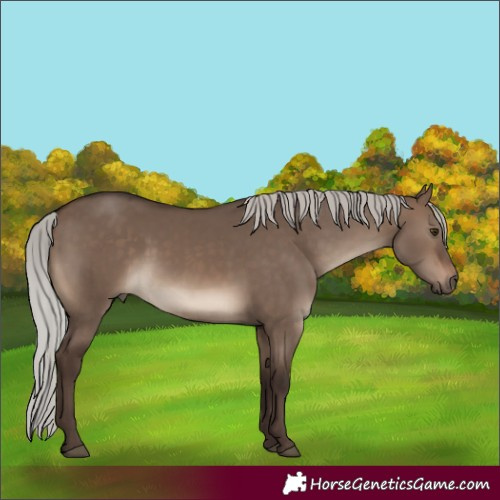 Horse Color:White Spotted Silver Brown Dun