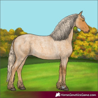 Horse Color:Palomino Roan 