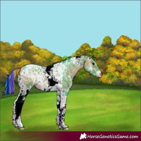 Horse Color:Painted Watercolor White Spotted Bay Ice Onyx Tobiano