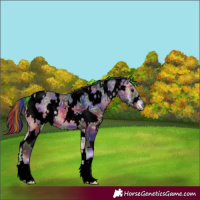 Horse Color:Void Painted Nacre White Spotted Bay Ice Onyx 