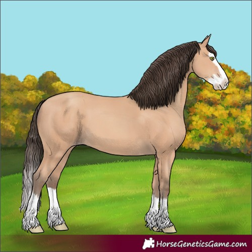Horse Color:Unknown 