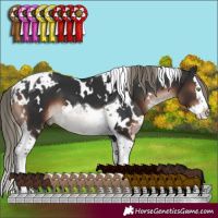 Horse Color:White Spotted Liver Chestnut Mushroom Splash Tobiano 