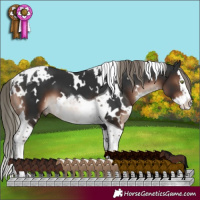 Horse Color:White Spotted Liver Chestnut Mushroom Splash Tobiano 