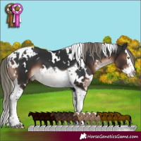 Horse Color:White Spotted Liver Chestnut Mushroom Splash Tobiano
