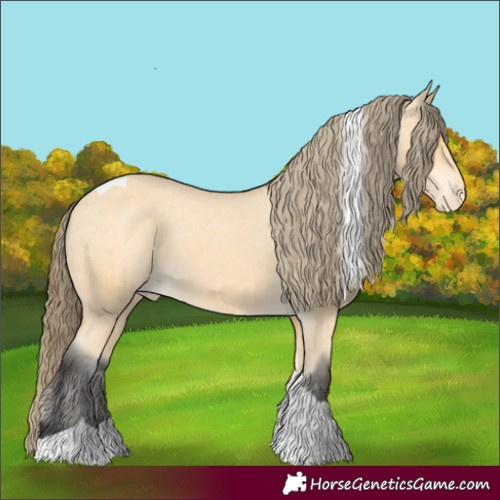 Horse Color:Unknown 