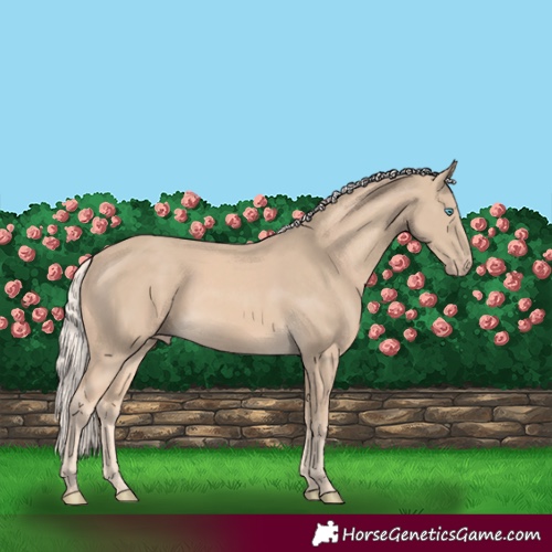 Horse Color:Cremello 