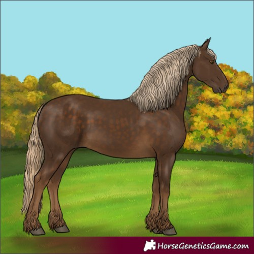 Horse Color:Chocolate Palomino 