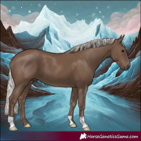 Horse Color:Silver Black 