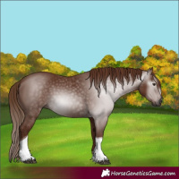 Horse Color:Gray Chestnut Tobiano 