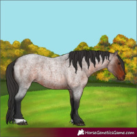 Horse Color:Brown Roan 